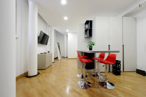 Pleasant loft next to Piazza Barberini