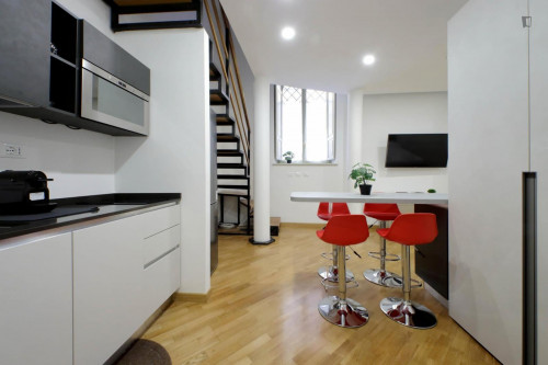 Pleasant loft next to Piazza Barberini - Gallery - 66