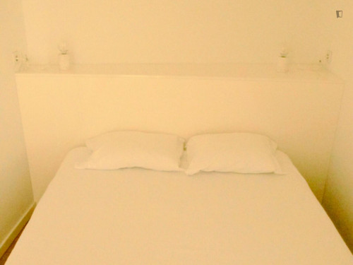 2 bedroom flat University of Coimbra Historic District