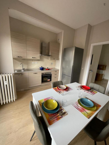 Nice apartment renewed in the city center of Turin
