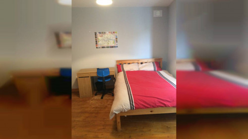 Cosy room for rent in 4-bedroom apartment in Glasnevin  - Gallery -  2