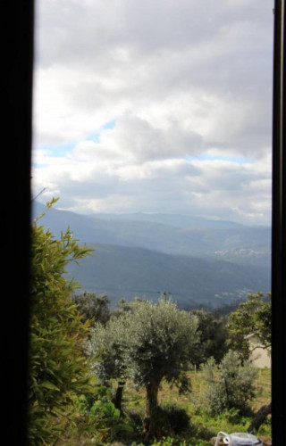 Cozy 2 Bedroom House close to Serra da Estrela - Gallery - 21