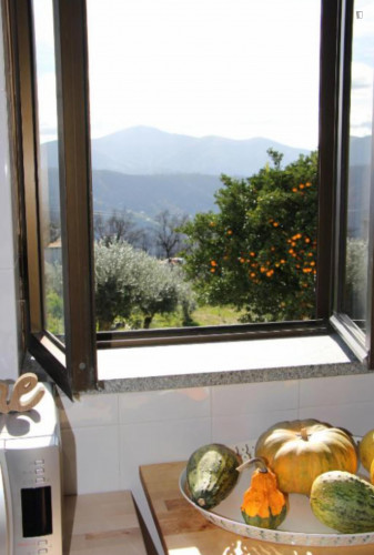 Cozy 2 Bedroom House close to Serra da Estrela - Gallery - 17