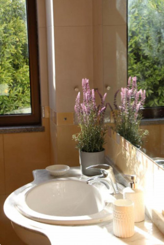 Cozy 2 Bedroom House close to Serra da Estrela