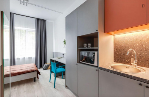 Appealing studio in the Centras district  - Gallery -  3