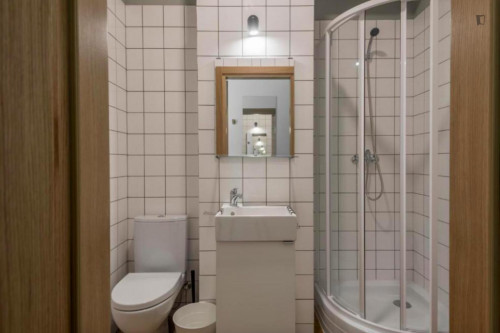 Appealing studio in the Centras district