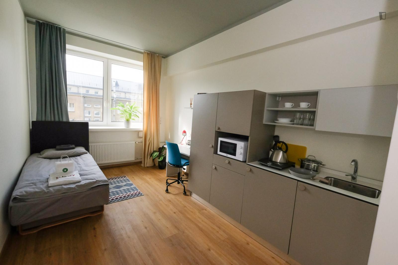  Appealing Studio In The Centras District  -  Appealing studio in the Centras district  - Gallery -  1