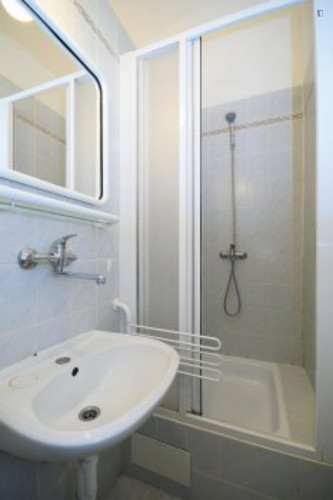 Humble studio close to Parukářka park