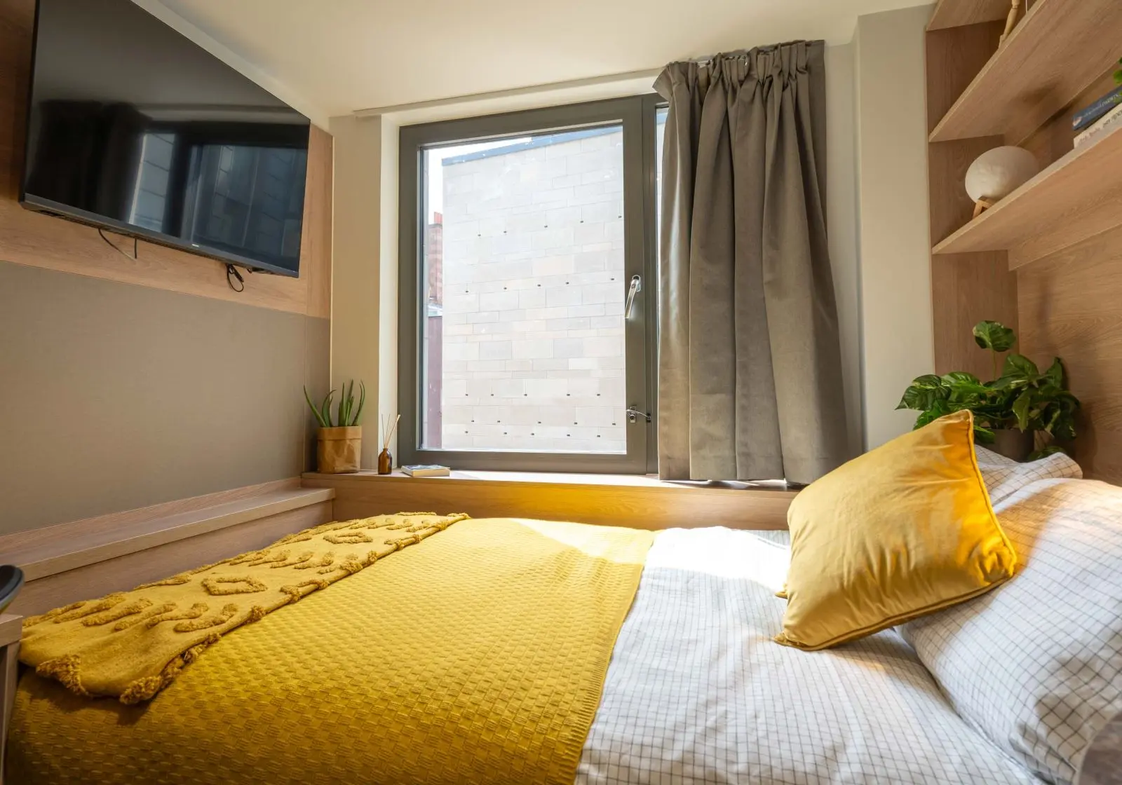  Bronze Studio  -  The Mont  - Gallery -  9