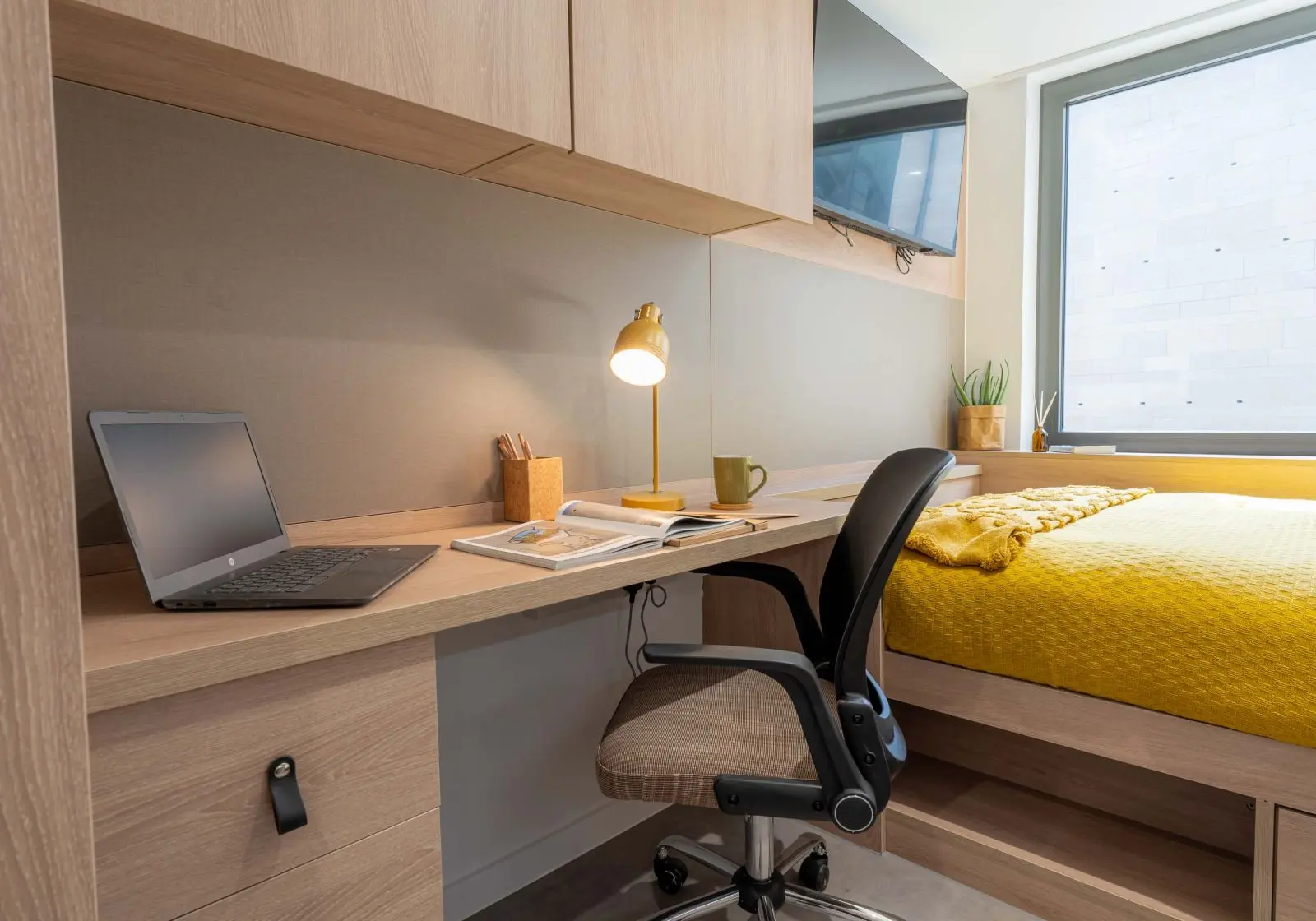  Bronze Studio  -  The Mont  - Gallery -  7