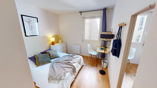 Lovely double bedroom near the Place de la République