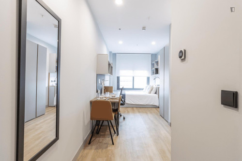 Bed in shared studio not far from Plaza de España - Gallery - 33