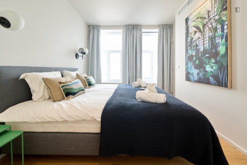 Stylish 1-Bedroom Apartment near the Grand Place - Gallery - 9