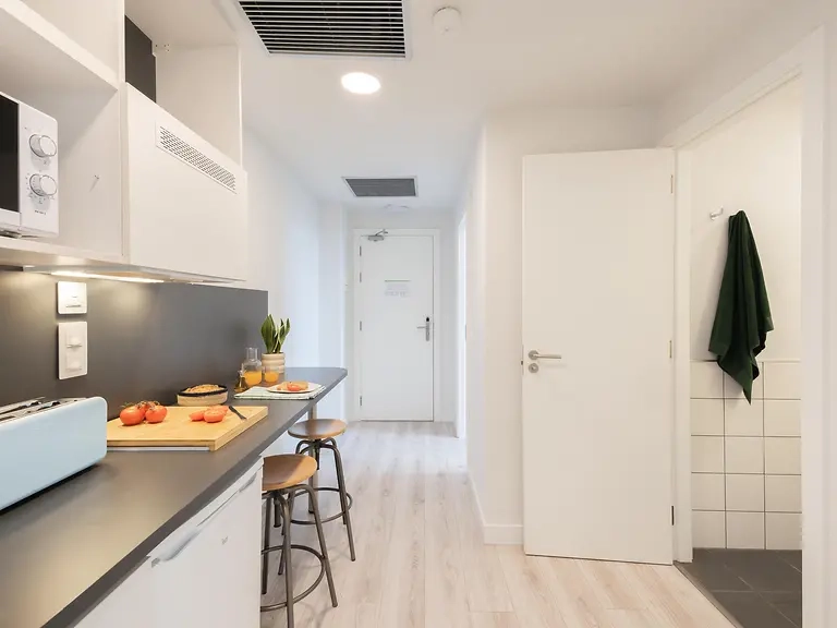 Single With Shared Bathroom & Kitchen  -  Aleu University Residence  - Gallery -  6