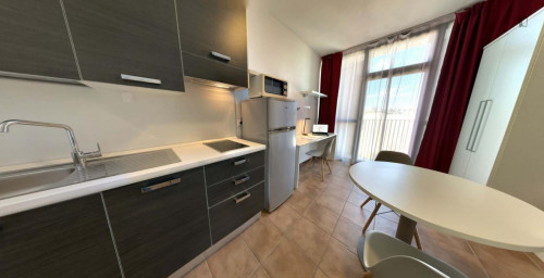 Pleasant studio near the Parco Area delle Scienze of the Università degli Studi di Parma