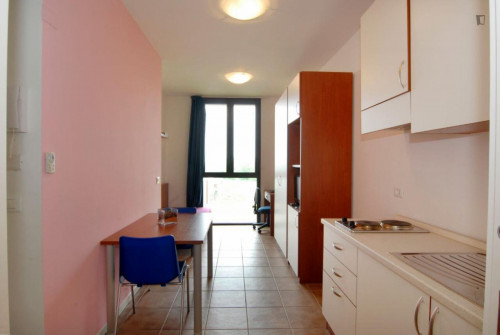 Pleasant studio near the Parco Area delle Scienze of the Università degli Studi di Parma - Gallery - 5