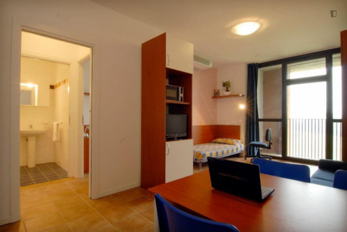 Pleasant studio near the Parco Area delle Scienze of the Università degli Studi di Parma - Gallery - 8