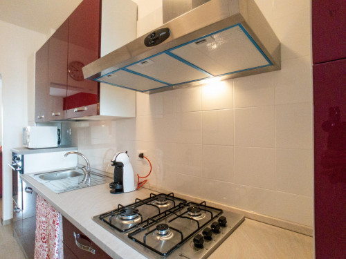 Nice single bedroom close to Precotto metro - Gallery - 9