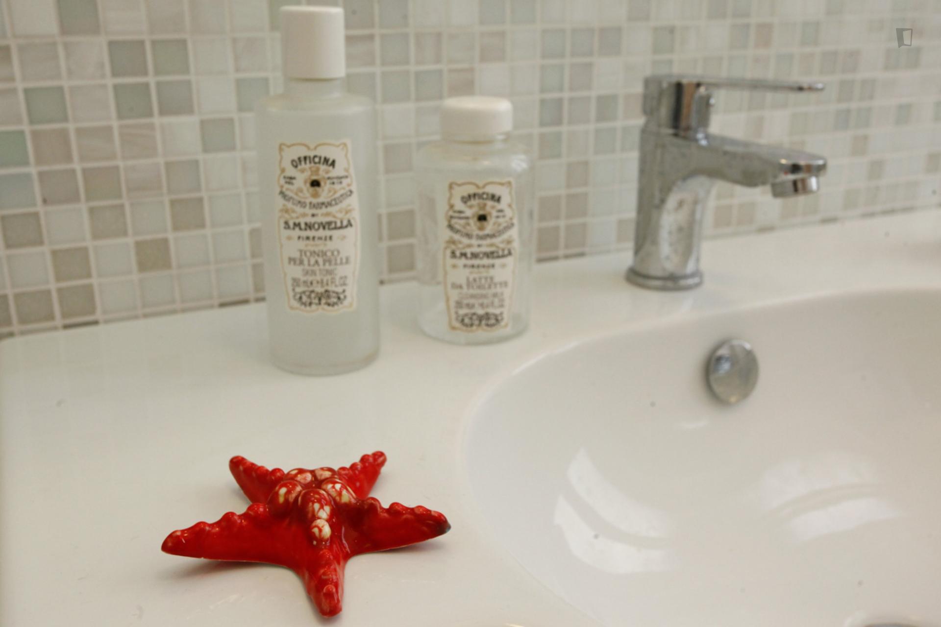 Sunny and quiet big bedroom: Vatican/Aurelio