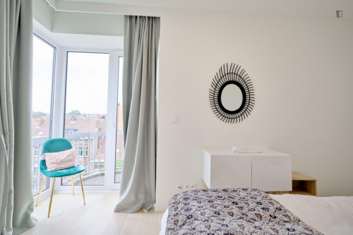 Loverly 3-bedroom apartment in Plasky