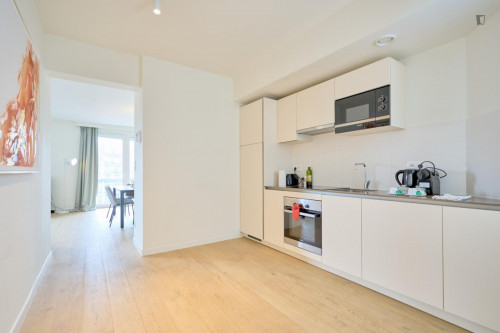 Loverly 3-bedroom apartment in Plasky