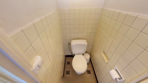 Charming Furnished Flatshare in Tranquil Montchat, Lyon