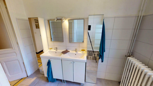 Charming Furnished Flatshare in Tranquil Montchat, Lyon
