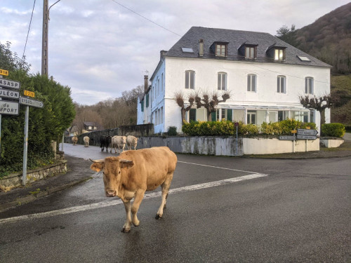 Historic Village Hotel Turned Coliving - Integrated with Local Life & Surrounded by Nature