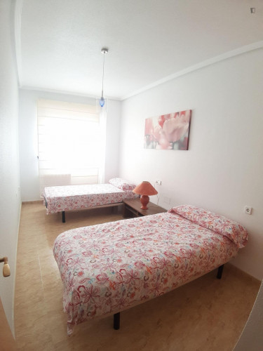 Nice twin bedroom near Universidad de la Merced