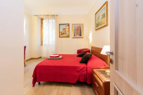 Spacious double bedroom near the Ottaviano metro