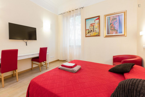 Spacious double bedroom near the Ottaviano metro