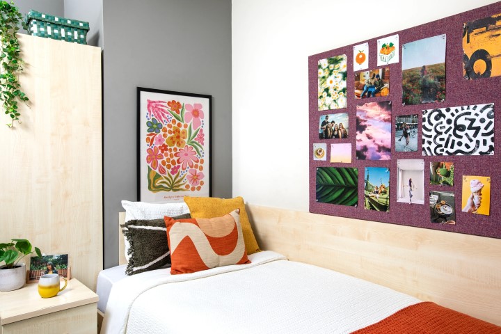  Large High Single En-Suite  -  بيوربيك هاوس  - Gallery -  3