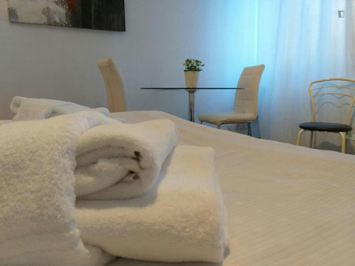 Bright 1-bedroom flat in Crocetta - Gallery - 16