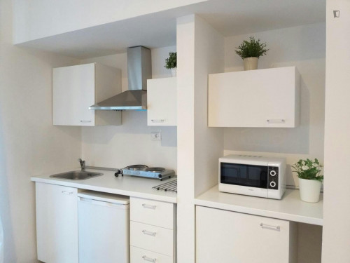 Bright 1-bedroom flat in Crocetta - Gallery - 14