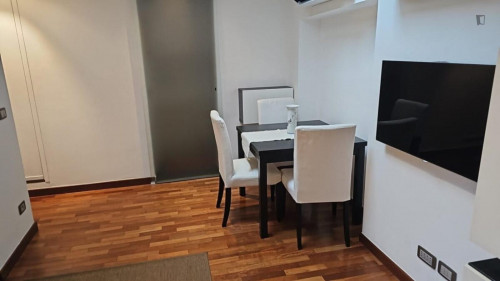 Cosy 1-bedroom flat near Politecnico di Torino - Gallery - 21