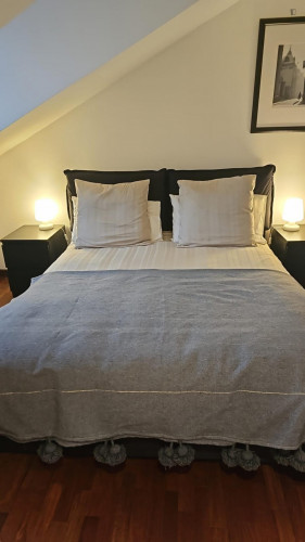 Cosy 1-bedroom flat near Politecnico di Torino - Gallery - 23