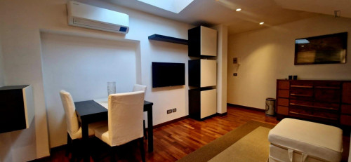 Cosy 1-bedroom flat near Politecnico di Torino - Gallery - 10