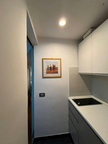 Cosy 1-bedroom flat near Politecnico di Torino - Gallery - 7