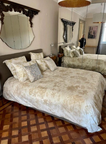 Charming 1-bedroom flat in Vanchiglia