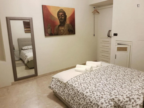 Inviting 2-bedroom flat in San Salvario