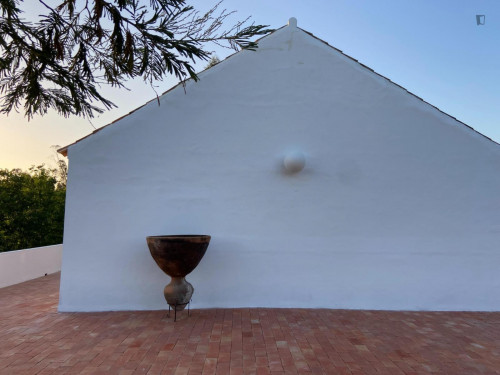 Charming exclusive 3-bedroom private house in the Alentejo countryside  - Gallery -  5
