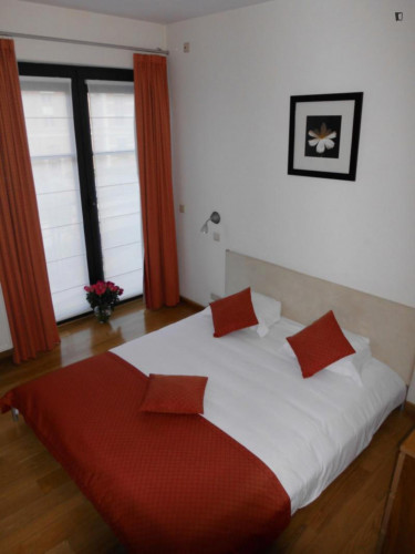 Bright 2-Bedroom apartment with terrace, near Meiser Station - Gallery - 3