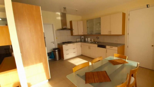 Bright 2-Bedroom apartment with terrace, near Meiser Station