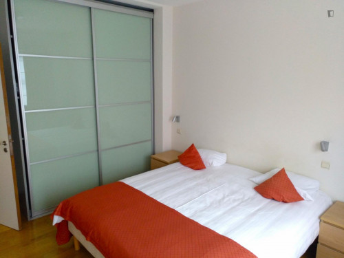 Bright 2-Bedroom apartment with terrace, near Meiser Station - Gallery - 10