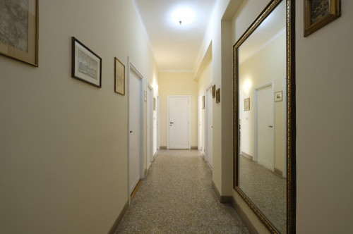 Double bedroom close to LUISS Guido Carli