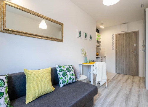 Cosy studio 25 minutes to Warsaw's center, close to SWPS University