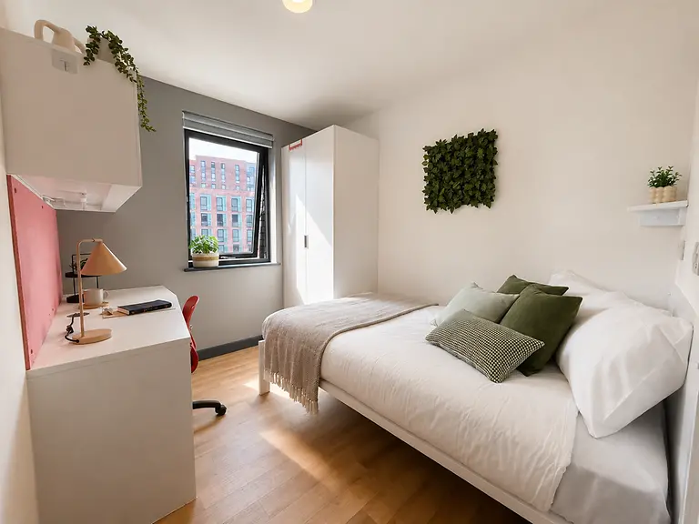 Bailey Street - Gallery - 20