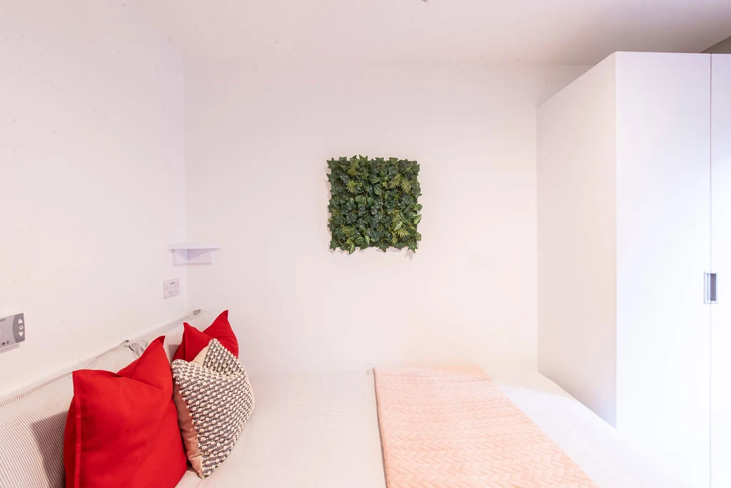  9 Bed En-Suite  -  Bailey Street  - Gallery -  7