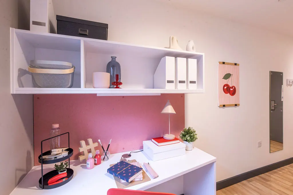  6 Bed En-Suite  -  Bailey Street  - Gallery -  7