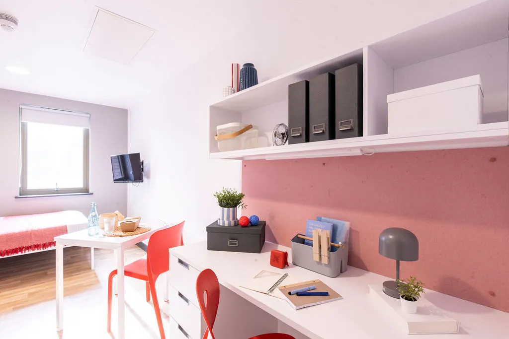  Deluxe Studio  -  Bailey Street  - Gallery -  4